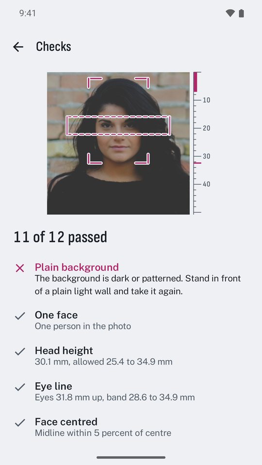 The checks screen showing 11 of 12 passed, with the plain background check asking for a plain light wall