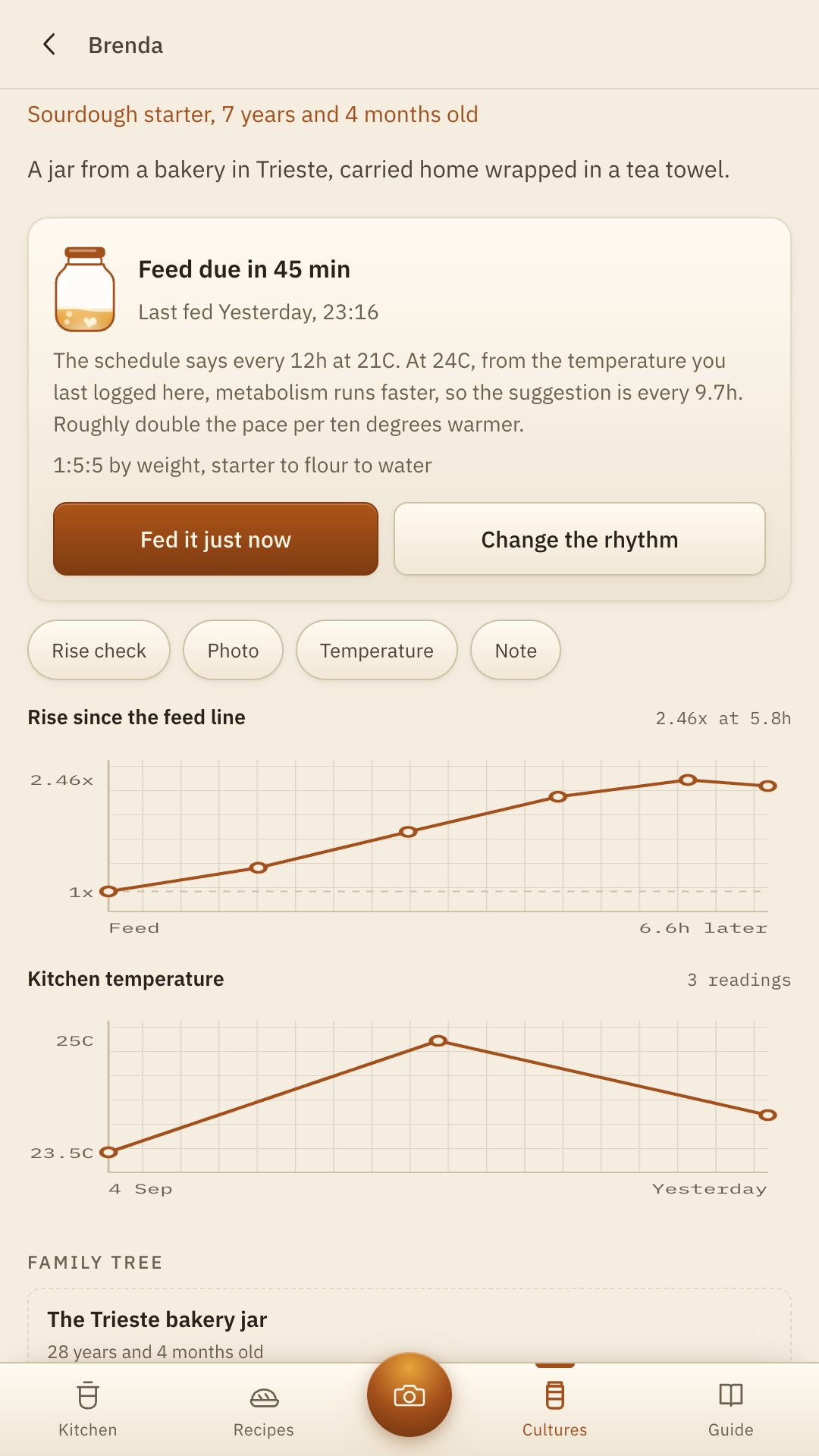 A starter named Brenda: a jar filled to how much of its feed is left, the temperature reasoning in plain words, and a rise chart peaking at 2.46 times.
