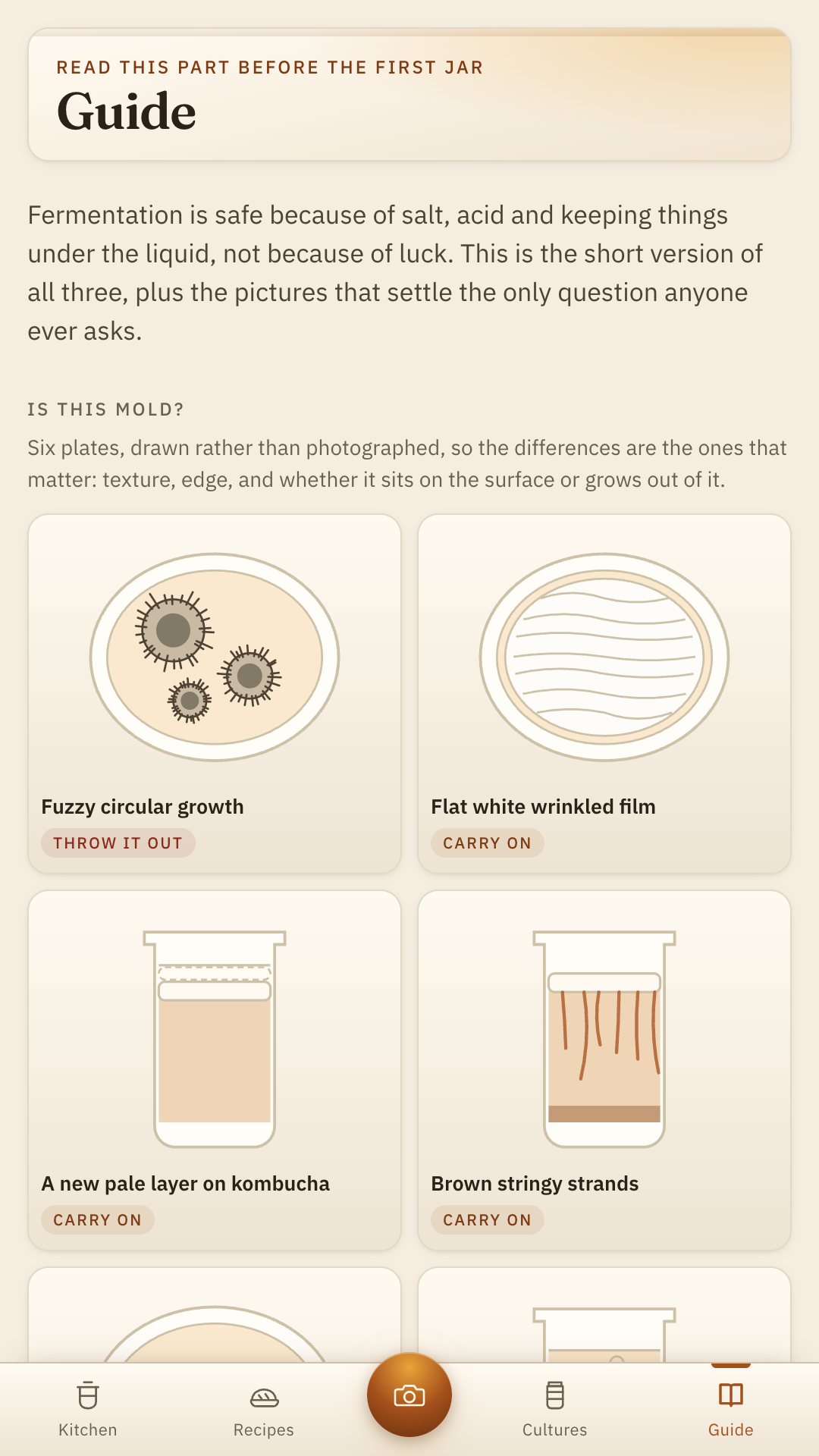 The Guide screen with six drawn triage plates: fuzzy mold, kahm yeast, a new pellicle and more, each labelled throw it out or carry on.
