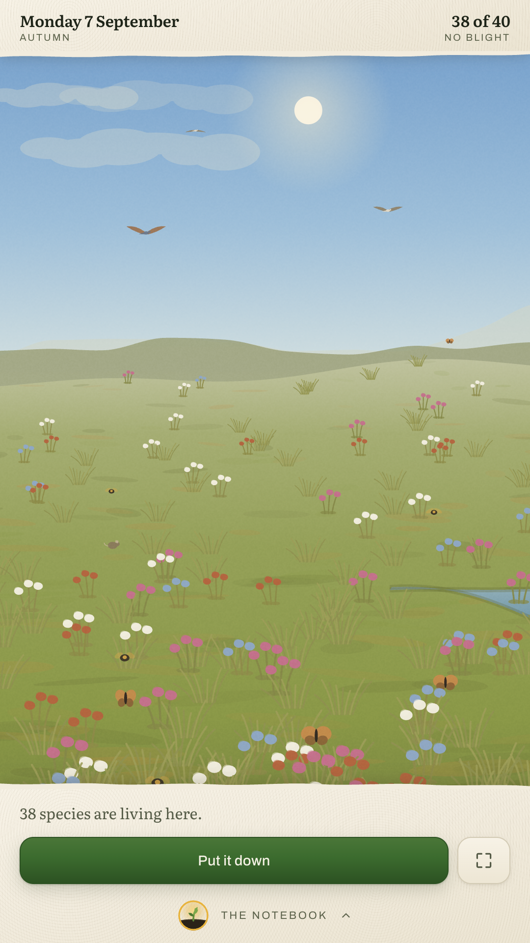 The valley screen: a wildflower meadow under a midday sky, birds overhead, and a count of thirty eight species of forty.