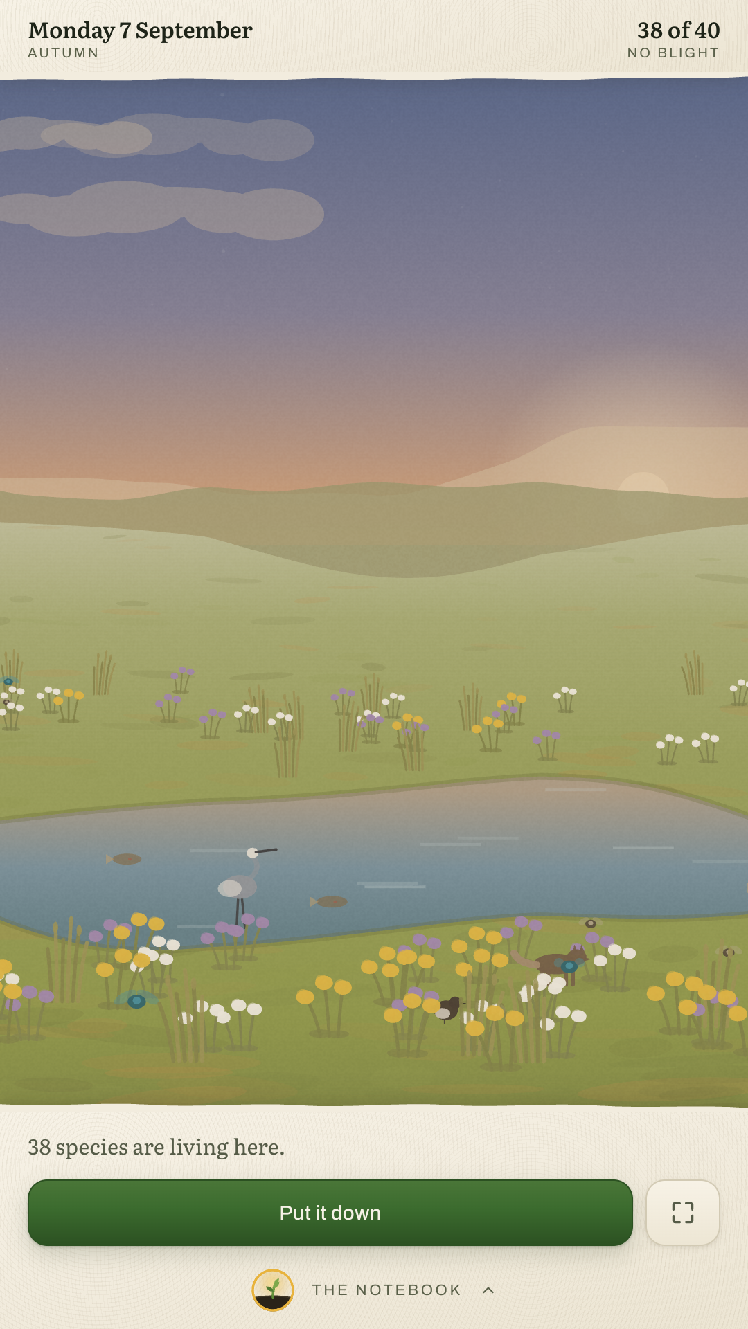 Brookside at dusk: a reach of clear water lying across the valley floor with a heron standing in it, trout holding station, and reeds and marsh flowers along both banks.